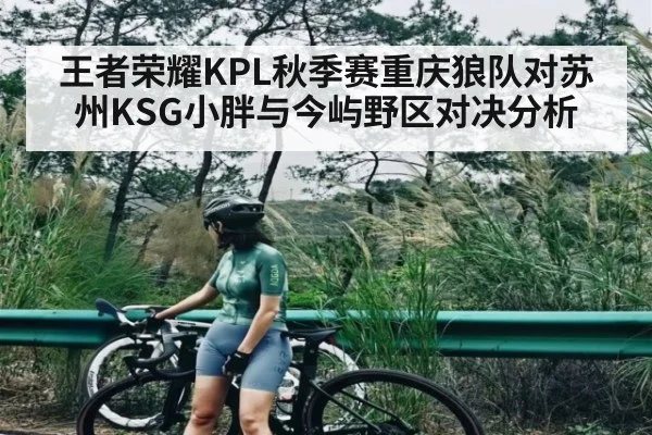 王者荣耀KPL秋季赛重庆狼队对苏州KSG小胖与今屿野区对决分析